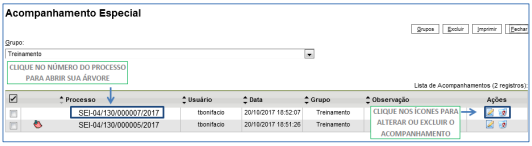 Acompanhamento especial consulta.png