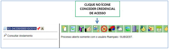Conceder credencial de acesso.png