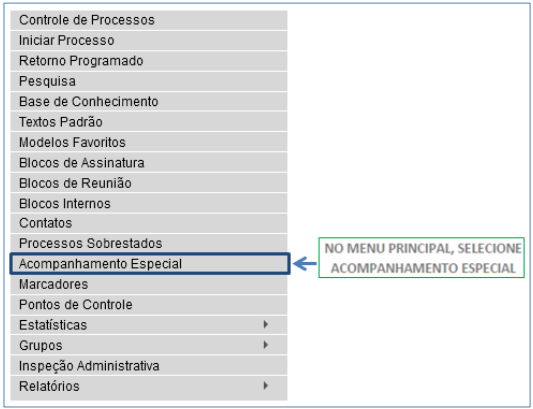 Consulta acompanhamento especial.png