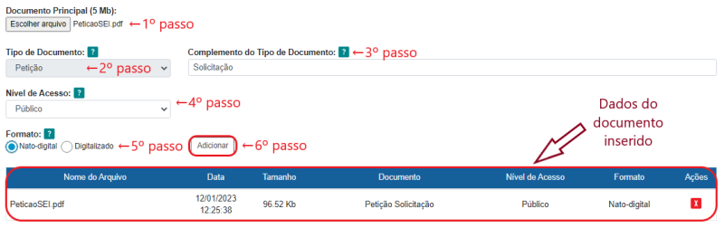 Arquivo:Docexternopet.png